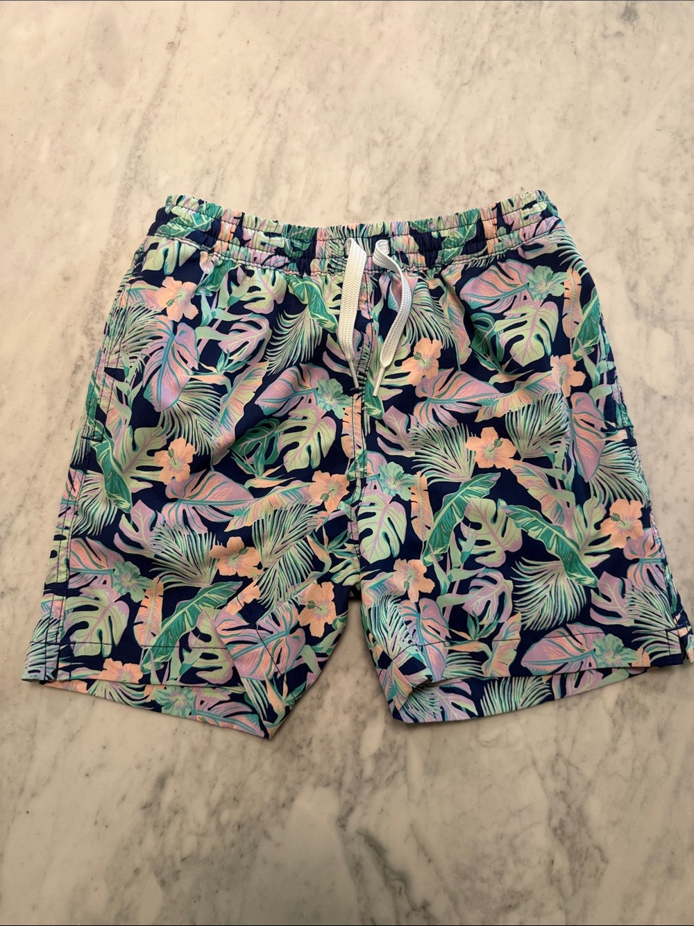 Boys Chubbies swim trunks